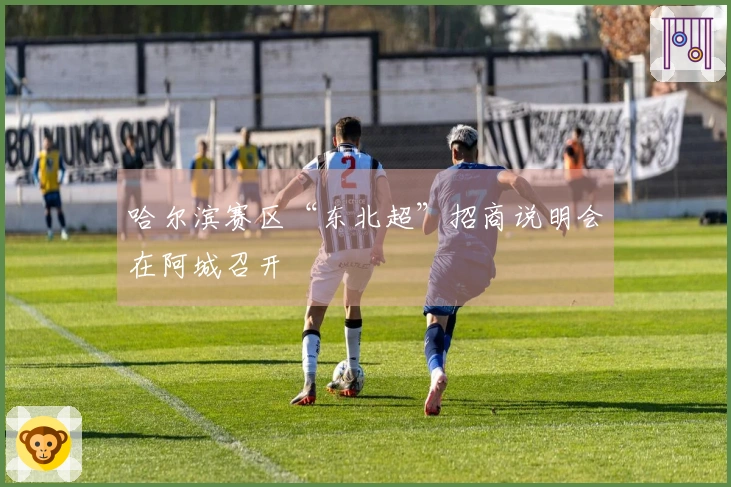 哈尔滨赛区“东北超”招商说明会在阿城召开